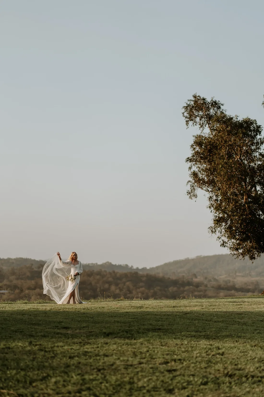 Bride walking through a paddock at golden hour, her veil billowing in the breeze