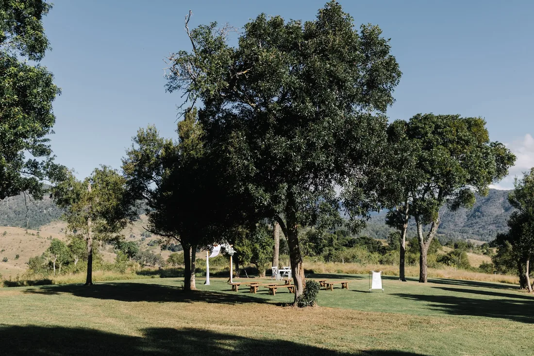 Wedding ceremony taking place under trees with guests seated on benches, mountain in the distance